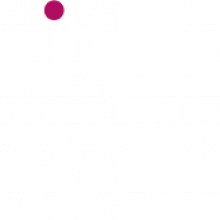 Solidarum