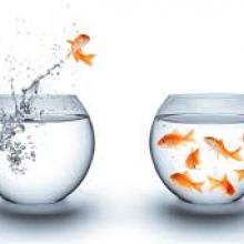 Gestion du changement